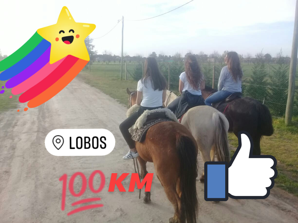 lobos 3
